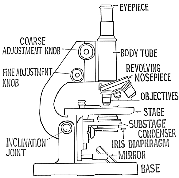 parts of microscope