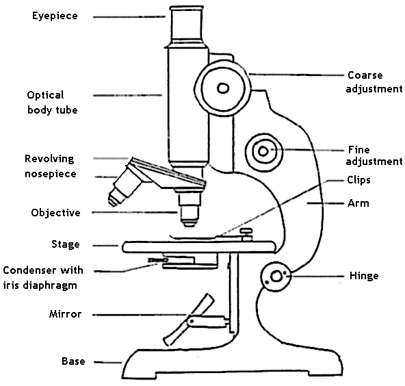 parts of microscope